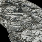 Llamador de la Virgen de la Paz de Morón de la Frontera